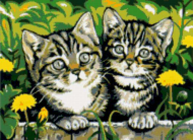 Котята, одуванчики, котята, пара, друзья