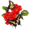 Схема вышивки «Бабочки на розах»