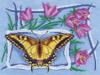 Схема вышивки &laquo;Бабочка&raquo;