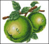 Схема вышивки «зелёное яблоко»