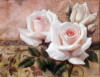 Схема вышивки «Белые розы »