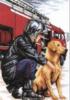 Схема вышивки «Пожарный и собака»