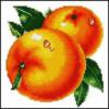 Схема вышивки &laquo;Апельсин&raquo;