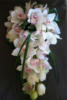 Букет из орхидей: оригинал