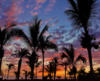 Закат на фоне пальм: оригинал