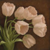 Схема вышивки «Белые тюльпаны »
