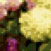 Lilac: предпросмотр