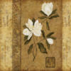 Схема вышивки &laquo;Magnolia&raquo;