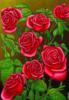 Схема вышивки &laquo;Розы&raquo;