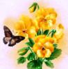 Схема вышивки «Бабочки - цветочки»