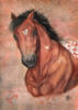 Схема вышивки «Любовь к лошадям»