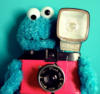 Схема вышивки «Cookie Monster с фотоаппаратом»