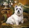 Схема вышивки «Серия"Собаки-аристократы"»