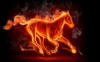 Схема вышивки «Огненый конь»