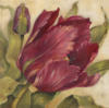 Схема вышивки «Tulip»