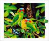 Схема вышивки «Картина, попугайчики»