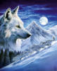 Схема вышивки «Снежный волк»