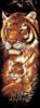 Схема вышивки «Тигрица с тигренком»