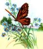 Схема вышивки «Летний день и бабочка»