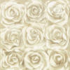 Схема вышивки «Подушка"Розы"»