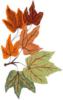 Схема вышивки «Кленовые листья»