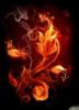 Схема вышивки «Огненный цветок 2»