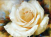 Схема вышивки «Большая белая роза»