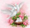 Схема вышивки &laquo;Голубки&raquo;