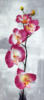 Схема вышивки «Розовые орхидеи на светлом»