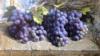 Схема вышивки «Гроздья винограда»