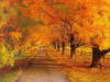Осенний пейзаж: оригинал