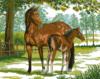 Схема вышивки «Лошадь с жеребёнком»