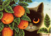 Схема вышивки «Котик в апельсинах»