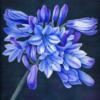 Схема вышивки «Blue flower»