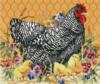 Схема вышивки «Курица с цыплятами»