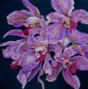 Схема вышивки «Orchid»