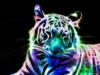 Тигр-свечение: оригинал