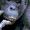 Бонобо: предпросмотр