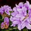 Схема вышивки «Rhododendron»