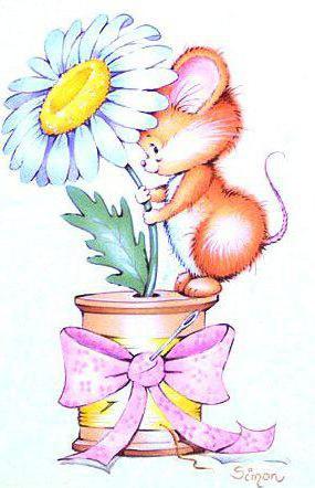 Picture background