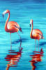 Схема вышивки «Flamingo»
