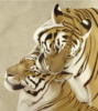 Схема вышивки «Пара тигров»