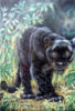 Красивая пантера: оригинал