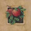 Схема вышивки «Подушка яблоки»