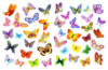 Бабочки: оригинал