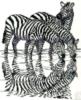 Схема вышивки «Зебры на водопое»