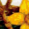 Daffodils: предпросмотр