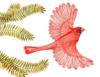 Схема вышивки «Птица счастья»