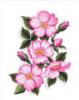 Схема вышивки «Розы шиповника»