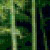 Бамбуковый лес: предпросмотр